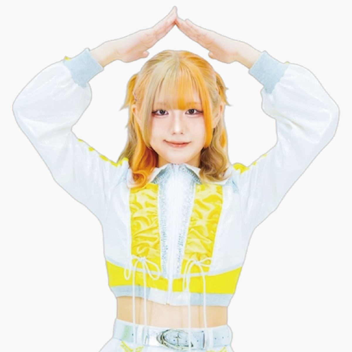 メッチャヒナ